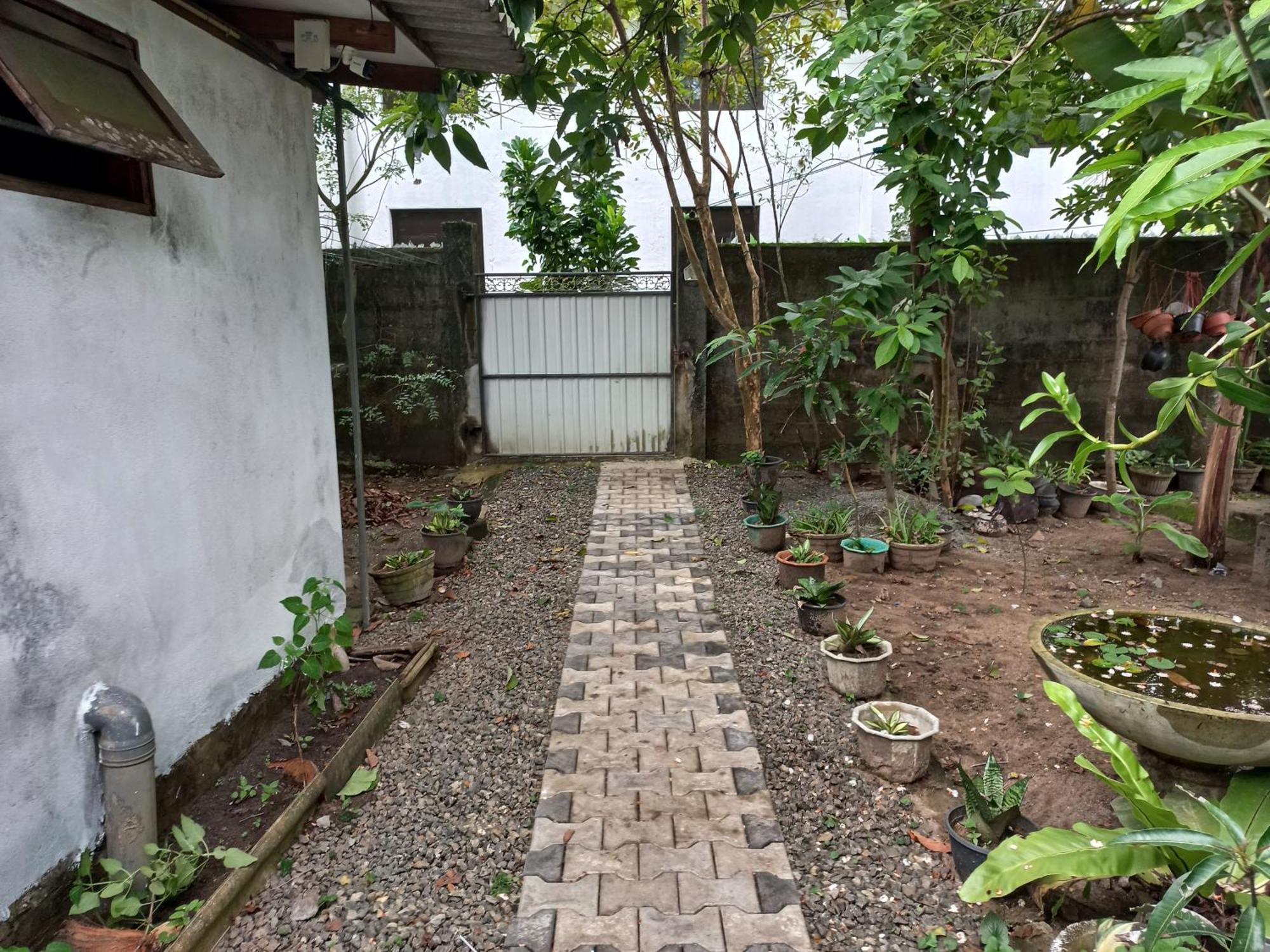 Mango Villa 703 Hikkaduwa Exterior photo